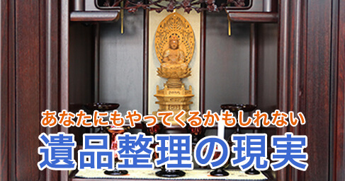 フジテレビ「ライブニュースイット」で放送されました！